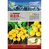 Golden ball Cherry radish seeds Farmers and farmland Potted Plants Planted Early Clicks and Uniform Yellow Radish Seed