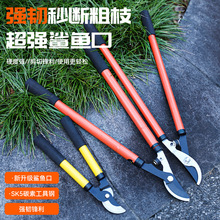厂家直供大花剪园林花木修剪绿篱剪大剪刀绿化草坪修枝剪篱笆树枝