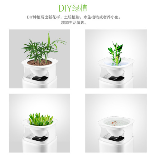 Noibuk Air Purifier Household Desktop Small Space Formaldehyde Secondary Smoke Cleaner E-commerce Gift Customization