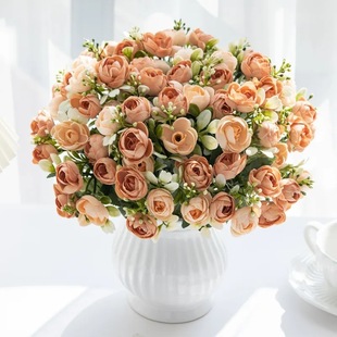 ����5��õ��С������� ��c�������ٻ����s�Ҿӿ͏d�����[�O��ˇ