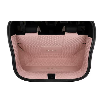 Trunk Mat — 25 BYD Seagull Trunk