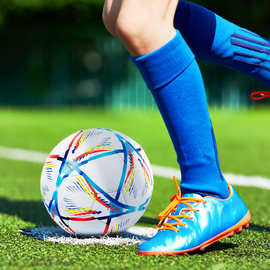 5号足球 成人 机缝PVC 专业足球训练比赛 耐磨防爆加厚软皮不伤脚