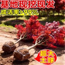 �t������ͥԺ�L�����������ͺ��������ļ��t�輧�ļ��ձ��t����