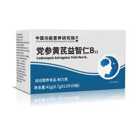 党参黄芪益智仁B12运动营养食品膳食党参黄芪益智仁维生素保健品