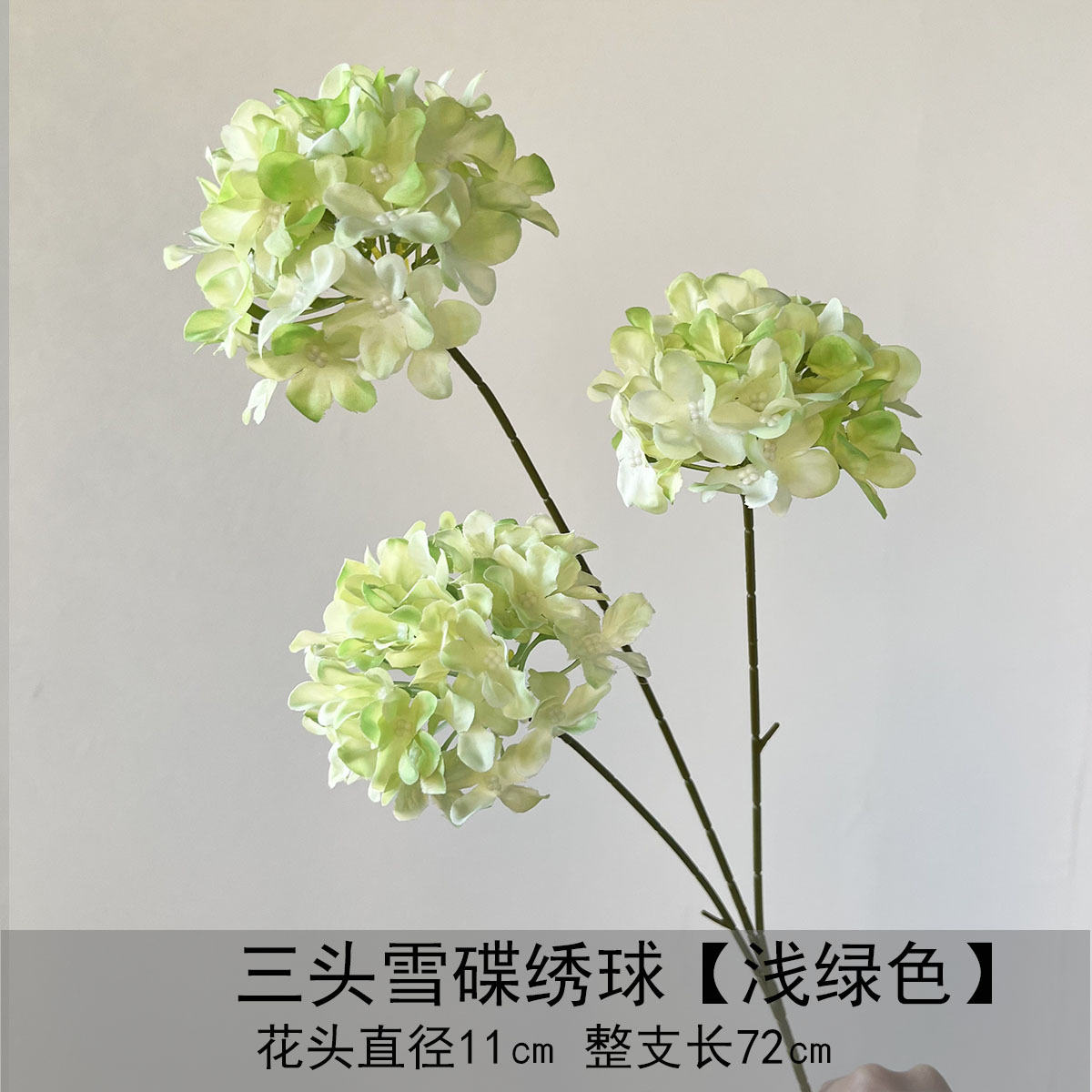 Hortensia de tres mariposas de nieve - verde claro