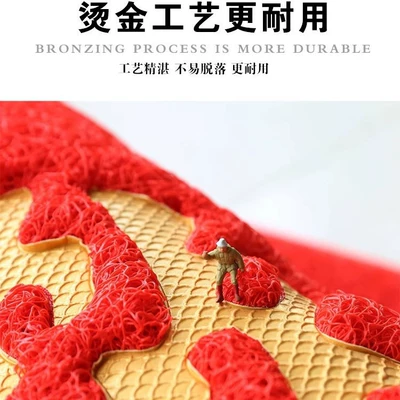 Avtomobil döşəmə paspasları Silk Circle Floor Mat Entrance