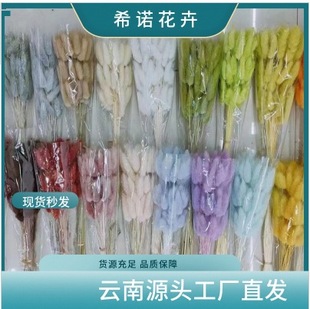 Yunnan Rabbit Tail Grass Bouquet, Preserved Flowers, Decorative Natural Dried Flowers, Source Manufacturer, Wholesale in Stock, Simple Style Plants