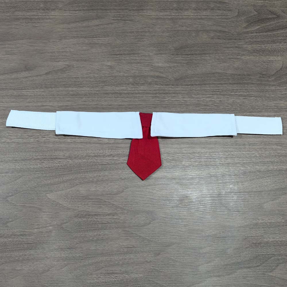 Tanpopo fábrica de nuevos productos guapo mascota corbata de perro velcro ajustable accesorios de mascota corbata de gato