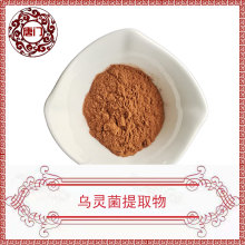 乌灵菌提取物99%  乌灵菌粉 萃取浓缩 水解乌灵菌提取物 现货直发