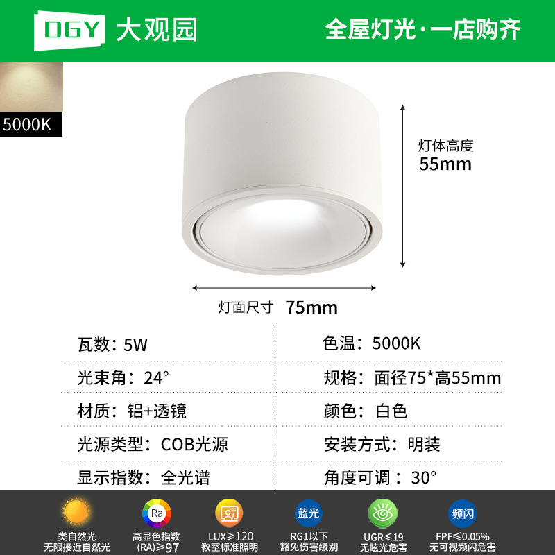 Da Guan Jardín luz de reflector anti-deslumbramiento colina sala de estar sin luz principal luz de techo downlight led corredor luz de techo 495L image 9