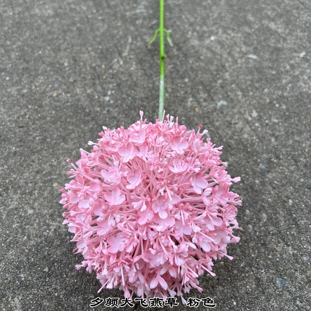 Simulación del Día de San Valentín rosa fabricante 3 sola rama multi-cabeza rosa decoración de la boda flor falsa al por mayor