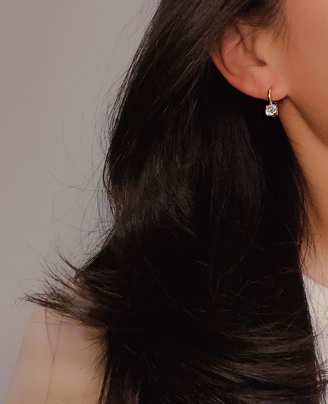 Titanium Steel Material 1 Pair Fashion Round Titanium Steel Inlay Zircon Drop Earrings