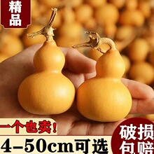 ����С���J���r���J�b����^�ְѼ���������С�ֶ�����