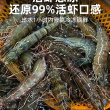 �ڻ��r�r���ك��������r����ϻ��r�����r���r����Ź��r����