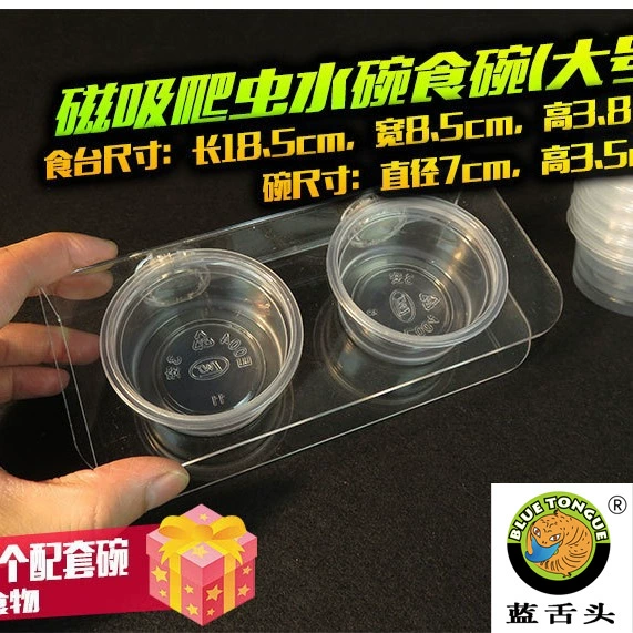 Душуйский рептилий кормушка кормушка присоска ресниц рога охранника