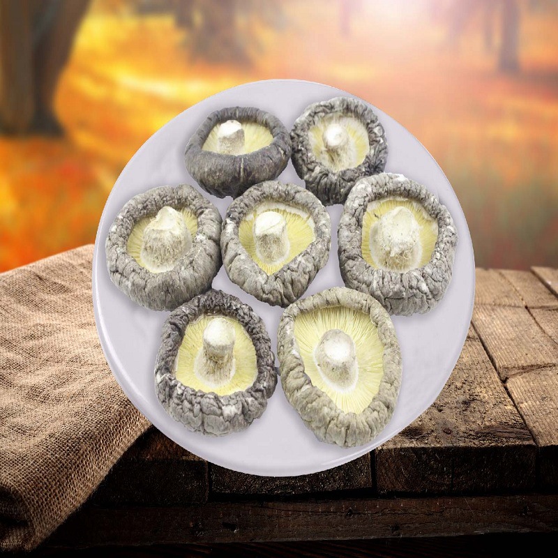 足切光面菇4-5cm