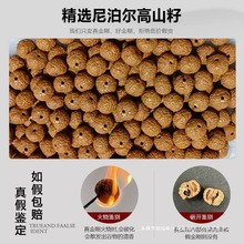 正宗龙鳞纹小金刚菩提子手串单圈原籽佛珠子手链男士文玩盘玩继灿