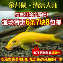 ��̦���̦���~�Ꭷ�^�p�~��������~�~�׳����~�坍�~���~�����~