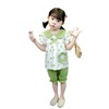 Summer summer clothing, children's set, 2021 collection, children's clothing, wholesale, Korean style