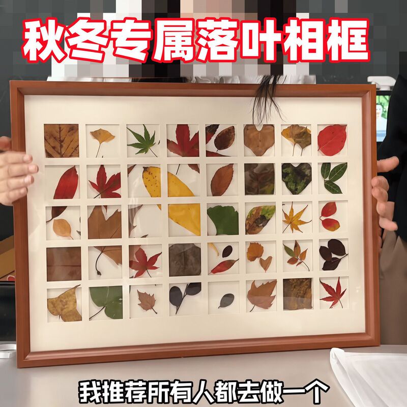 Fallen Leaves Photo Frame 48/36 Palace Diy Leaf Specimen Frame Maple Leaf Parent-Child Handmade Specimen Design High Color Value Table Fallen Leaves Photo Frame 48/36 Palace Diy Leaf Specimen Frame Maple Leaf Parent-Child Handmade Specimen Design High Color Value Table
