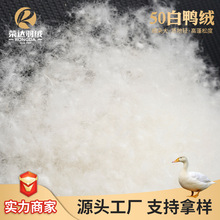 50白鸭绒 绒子含量50%清洁度800蓬松度11.5cm羽绒制品填充物厂家