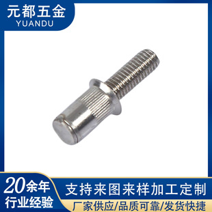 304���P����T����ƽ�^���y���T��ᔷǘ����T��ĸ���S������r��