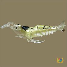 ��4����·���Dܛ�r ҹ���r���r ������ζ�T�~Ч���� �O�ߏS