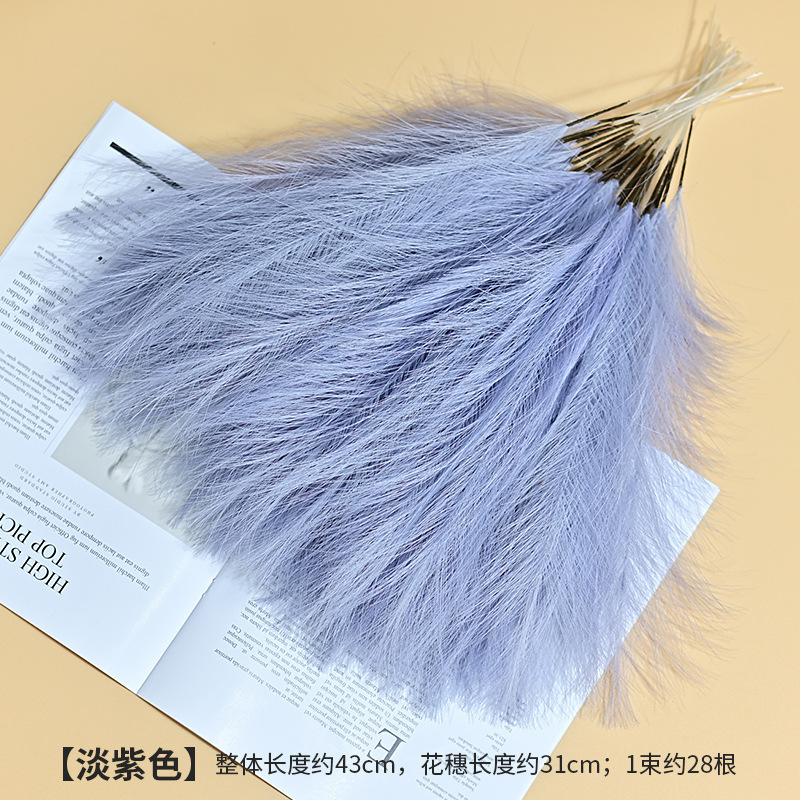 Single raíz Lavender