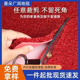 丝圈地垫浴室卫生间防滑垫入户进门垫PVC加厚车垫脚垫迎宾红地毯