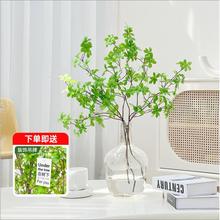 仿真绿植马醉木吊钟假植物客厅插花餐桌装饰品假花仿真花摆件摆聚