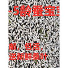 �Q�������w���Q���x���ͯ�W���B�Q���bС�Q1�g234�g�����rɣ�~