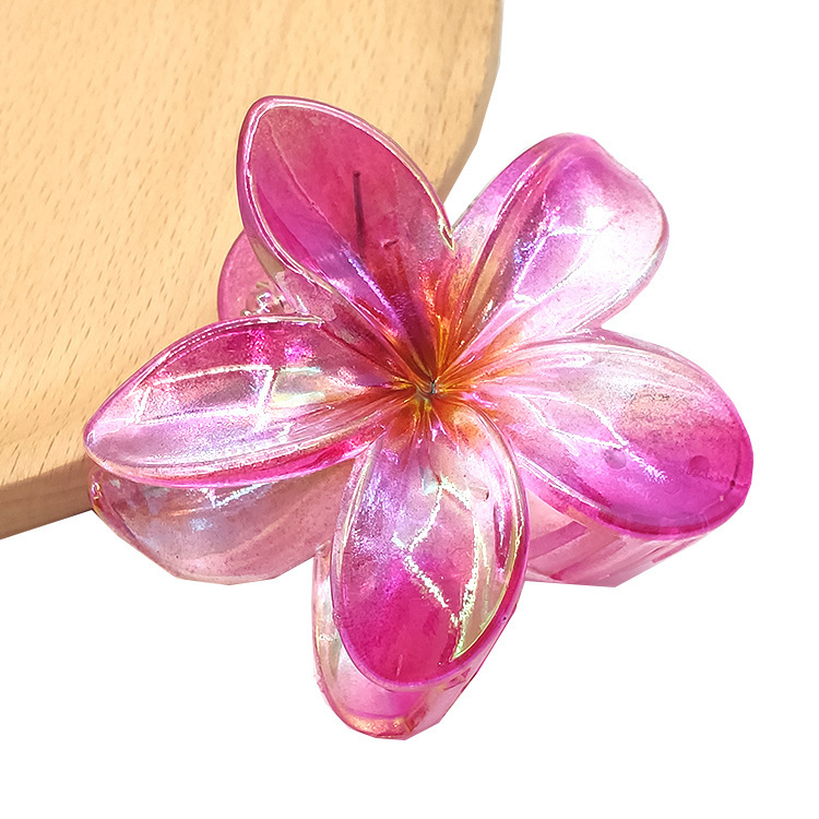 国境を越えたアマゾンの卵の花がグラデーションの花のキャンディー色の紫荊花の後頭部をつかんでサメの花を挟んで髪を伸ばします。|undefined