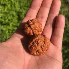 Ұ����Ȼ�����������oƴ��Ұ�����\�����������ְѼ����S��.