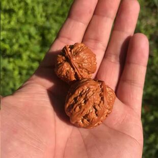 Ұ����Ȼ�����������oƴ��Ұ�����\�����������ְѼ����S��.