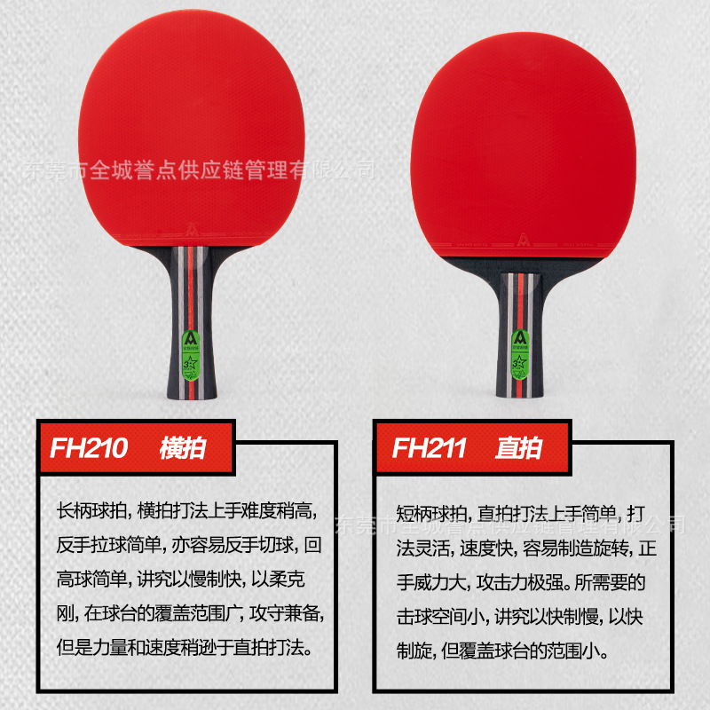 得力安格耐特FH210三星乒乓球拍双拍初学专业标准球拍横拍送三球