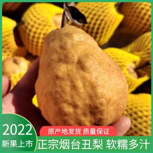 ɽ�|��̨���A�����R���̫����ơ��ѩ���������rˮ������ܛŴ