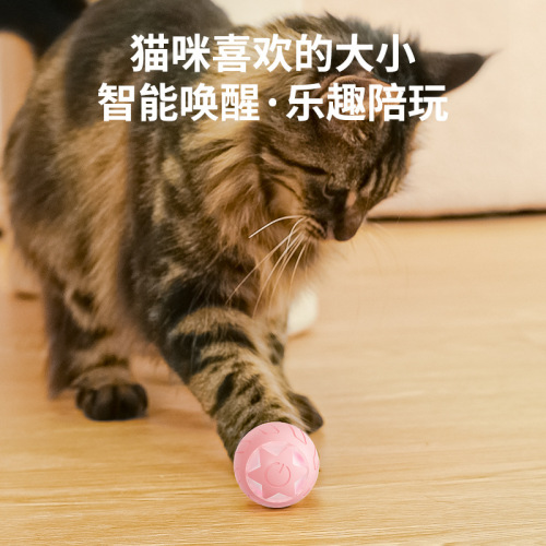 Star Rolling Ball Cat Toy Self-Entertainment Relief Cat Toy Pet Bite Resistant Toy Pet Supplies Wholesale