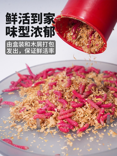 �R�ڱ��o�tϪ�����x�r���x����t�xҰ��a�~�D�ϻ��D�D�t���~�D