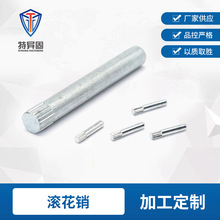 特异固不锈钢销合页销连接杆锁具圆柱定位销滚花轴镀锌防锈轴用