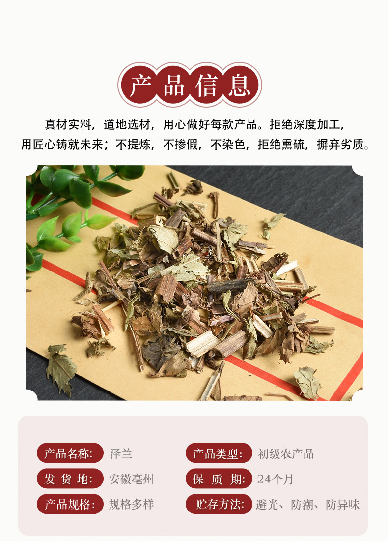 Ze Lan Herb (Lycopus lucidus) — Dried Chinese Herb for Decoction & Tea key features