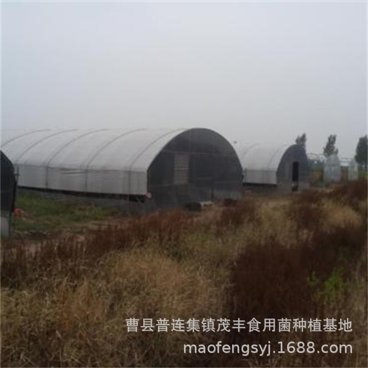 u=2475218140,2895654459&fm