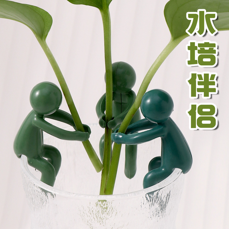 水培植物固定器植物生长伴侣水培器皿植物支撑架桌面装饰固定器|undefined