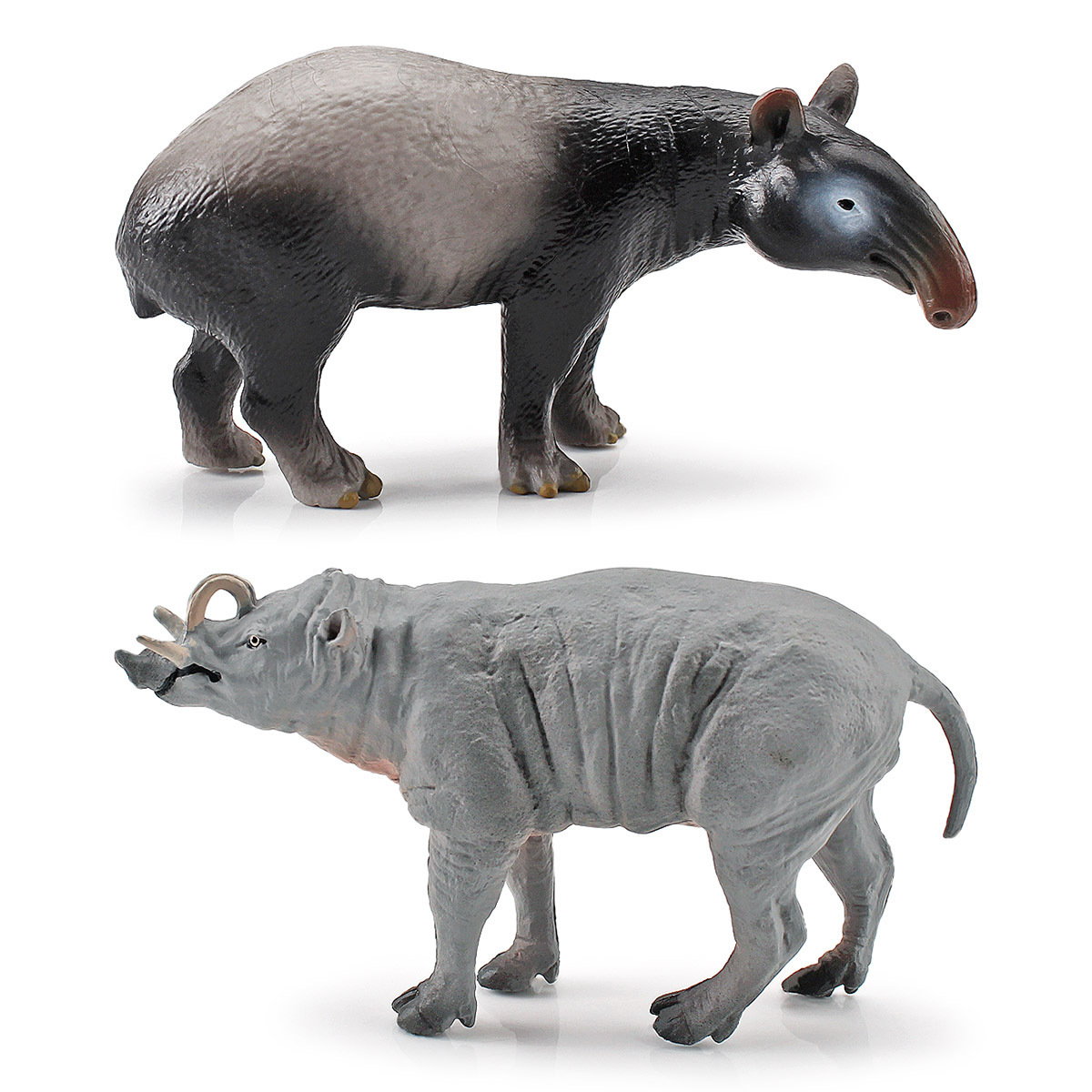 Simulación bosque tropical en peligro de extinción animal Malayo ciervo delfín modelo estático cognitivo decoración juguete transfronterizo Amazonas