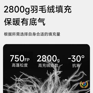 ?����ľ������ë�q˯���Z�q����Ұ�I˯���p����¶�I���б�y˯��