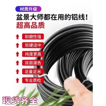 ��ɫ�P�������X�z �@ˇ������F؛ Ҏ�� �Rȫ �����_�h�������X��