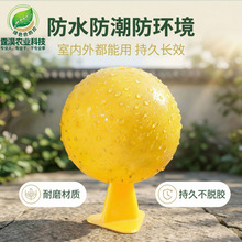 �羳���l�Tω���nω�T�������ٹϹ���ω�T�������x�����T���x�N��