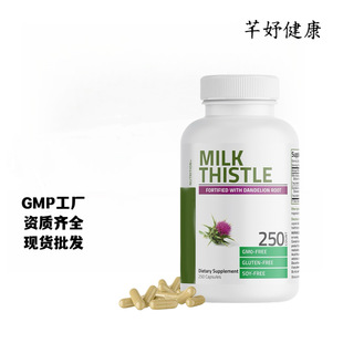 �F؛ ���E���z��Milk Thistle Silymarin Marianum�羳���R�d����