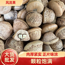��ș���L����ɢ�b���l���^�����������ݾƴ�؛���������ؔ�؛Դ