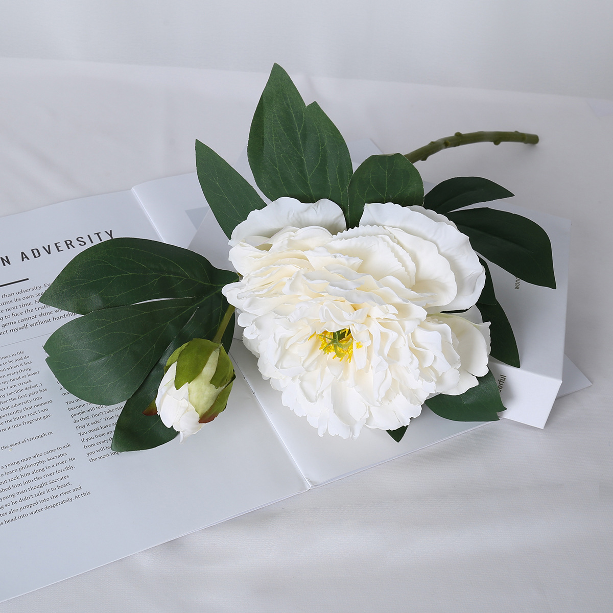 Simulación de una sola rama 2 cabeza peonía de borde asado estilo nórdico decoración de bodas decorativa floral pintura al óleo peonía imitación flores