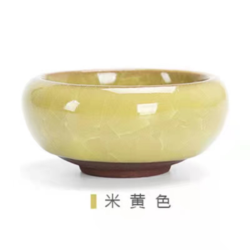 베이지